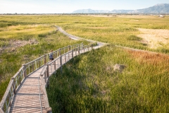 The Great Salt Lake Shorelands Preserve in Layton, on Sunday, July 26, 2020.